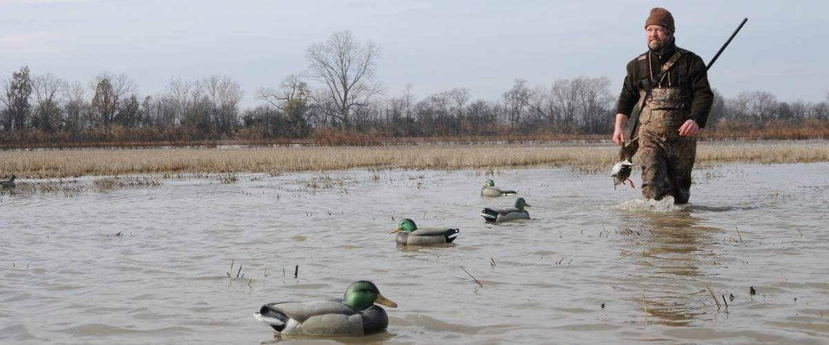 Five Mississippi Flyway Public Land Hotspots for 2020 Ducks Unlimited